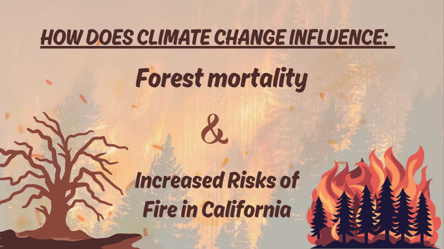 How Does Climate Change Influences Forest Mortality and Increases Fire Risks in California?